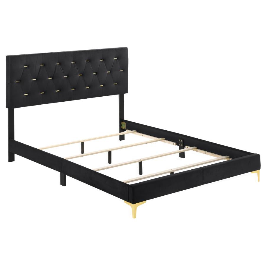 4-piece Tufted Panel Queen Bedroom Set Black and Gold